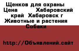 Щенков для охраны  › Цена ­ 100 - Хабаровский край, Хабаровск г. Животные и растения » Собаки   